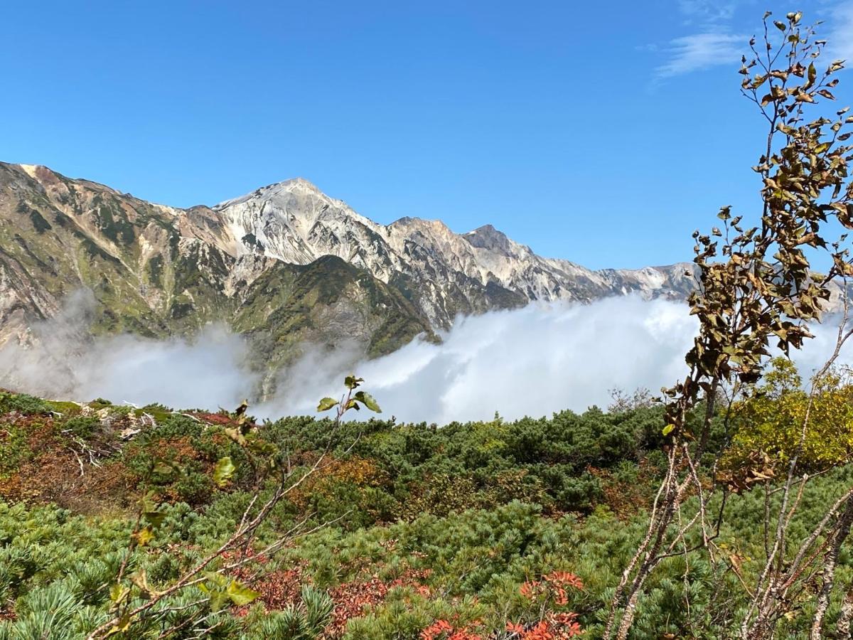 Hareruya Bed & Breakfast Hakuba Bagian luar foto